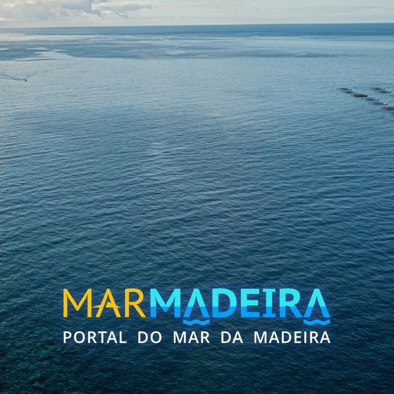 Logótipo Mar Madeira